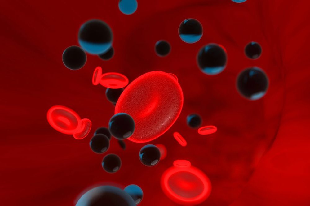 microplásticos no sangue humano