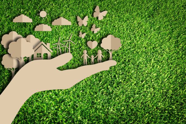 sustentabilidade na escola